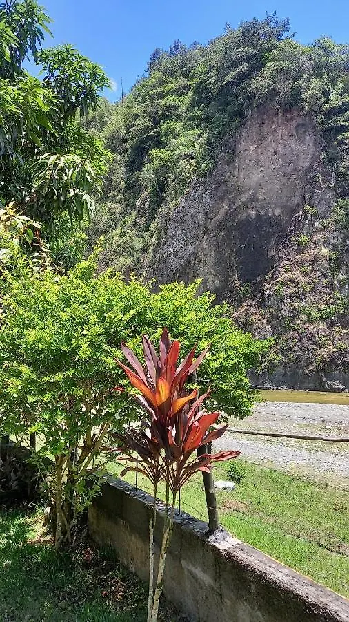 Conrado'S Guesthouse B&B Las Avispas Bed & Breakfast