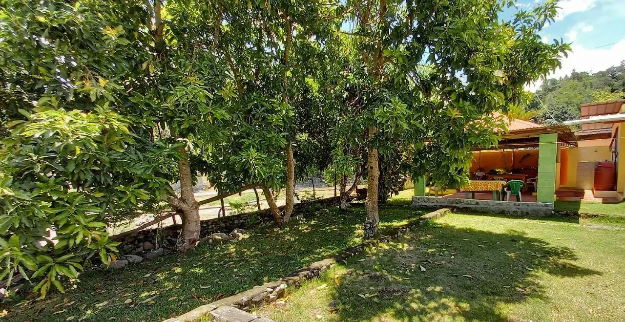 Bed & Breakfast Conrado'S Guesthouse B&B Las Avispas Dominican Republic