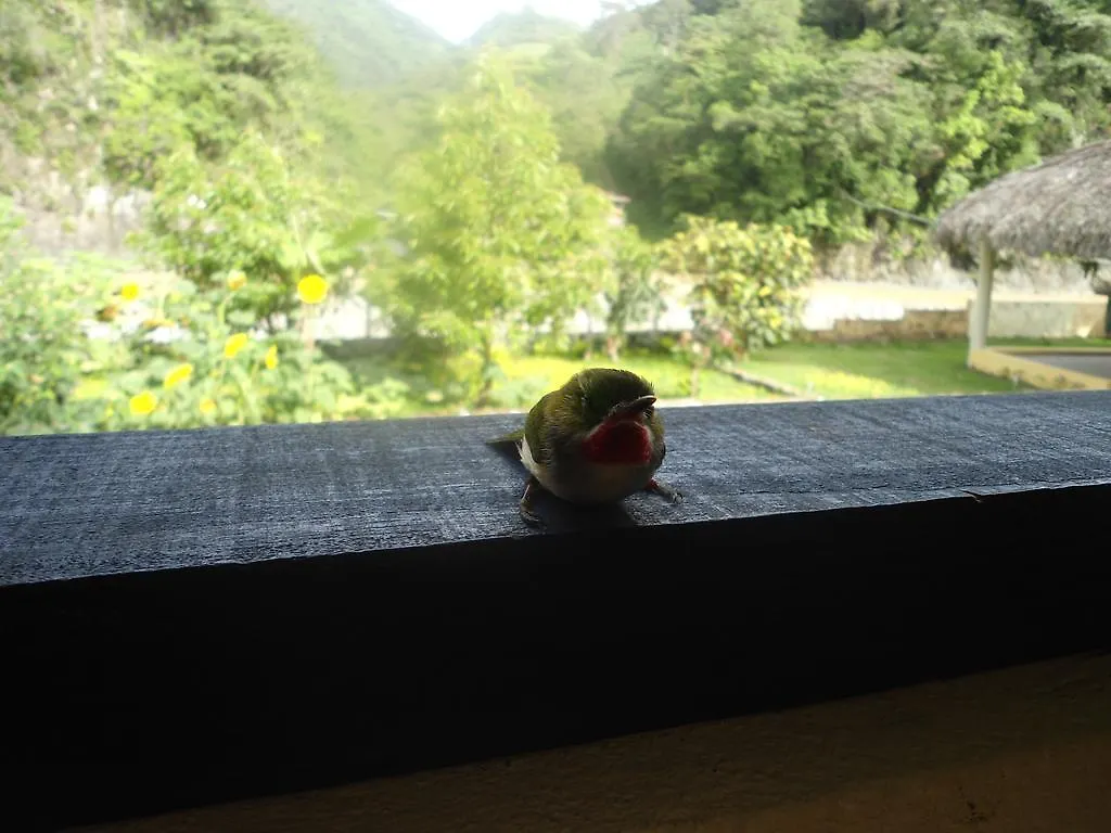 Conrado'S Guesthouse B&B Las Avispas 0*,  Dominican Republic